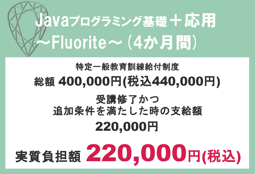 Fluorite実質負担額